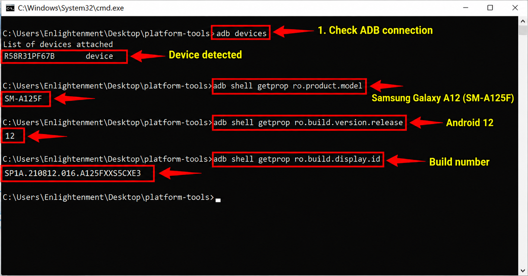 Samsung Galaxy A12 connected to ADB showing model SM-A125F, Android 12 and build information in Command Prompt